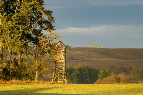 Tour Chasse Lisière Forêt Dans Les Paysages Automne — Photo