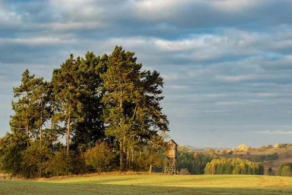 Torre Caccia Margini Della Foresta Nel Paesaggio Autunnale — Foto Stock