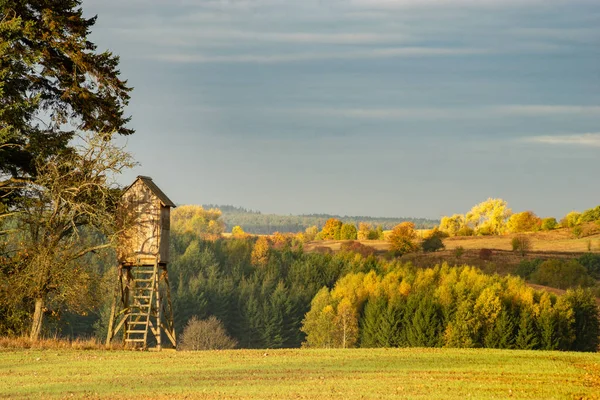 猎塔在森林边缘在秋天风景 — 图库照片