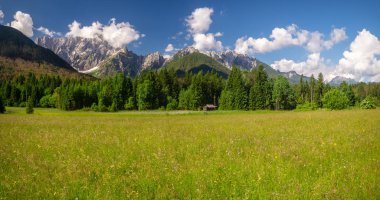 bahar çayır ın vadi, Julian Alps Slovenya
