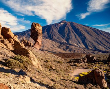 Doğal görünümü, Teide Milli Parkı, Tenerife, İspanya