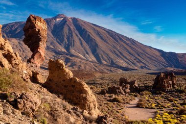 Doğal görünümü, Teide Milli Parkı, Tenerife, İspanya