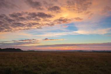 Sisli sabah doğal görünümünü sonbahar çayır üzerinde