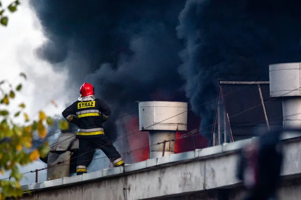 Strażaków Podczas Akcji Gaszenia Potężny Ogień Recyklingu Firmy Polska Szczecin — Zdjęcie stockowe