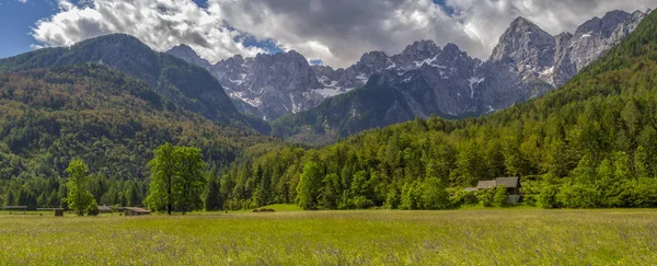 Prado Primavera Valle Los Alpes Julianos Eslovenia —  Fotos de Stock