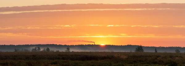 Живописный Вид Туманного Утра Лугу Осенью — стоковое фото