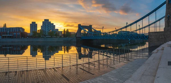 Wroclaw Pologne Pont Grunwaldzki Sur Rivière Oder — Photo