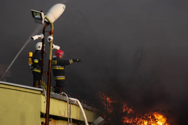 Tűzoltók Tűzoltó Erős Tűz Újrahasznosítás Társaság Lengyelország Szczecin Művelet Során — Stock Fotó