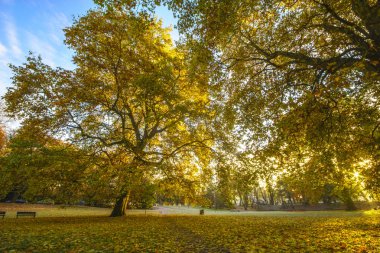 Sonbahar Park Manzaralı görünüm