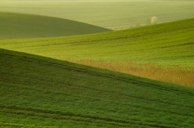 mavi gökyüzünün altında yeşil alanın doğal görünümü