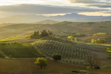 Tuscan doğal görünümünü manzara güneş doğarken, Pienza, İtalya