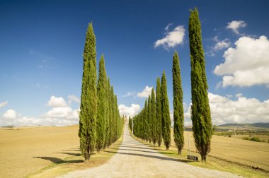 Tuscan doğal görünümünü manzara güneş doğarken, Pienza, İtalya