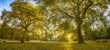 Yaz Park'ta doğal görünümünü