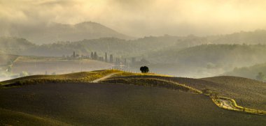 Tuscan doğal görünümünü manzara güneş doğarken, Pienza, İtalya