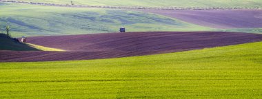 bahar, kırsal manzara, yeşil alanlar