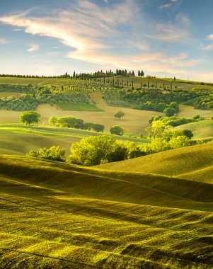 ünlü doğal görünümü Tuscan manzara güneş doğarken