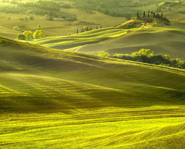 Vista Panorâmica Paisagem Toscana Nascer Sol Pienza Itália — Fotografia de Stock