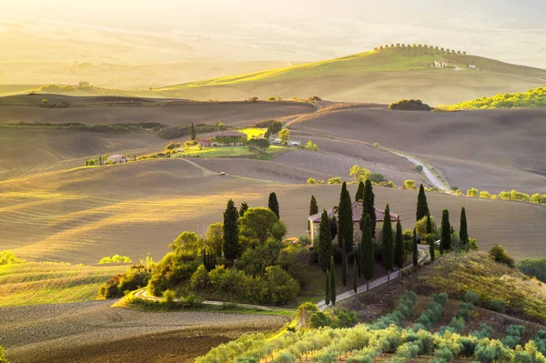 Tuscan doğal görünümünü manzara güneş doğarken, Pienza, İtalya