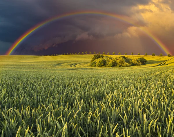 绿地上彩虹的景致 — 图库照片