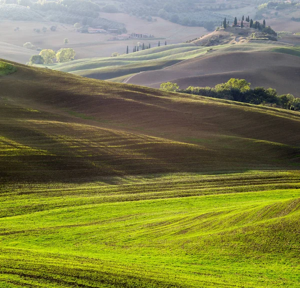 Vacker Utsikt Över Toscanas Landskap Vid Soluppgången Pienza Italien — Stockfoto