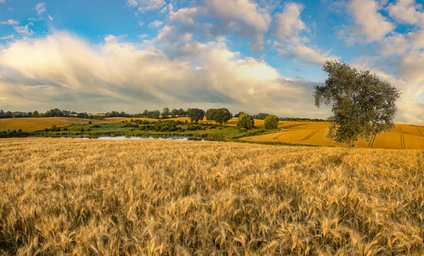 Vacker Utsikt Över Våren Fältet Mot Himlen Med Moln — Stockfoto