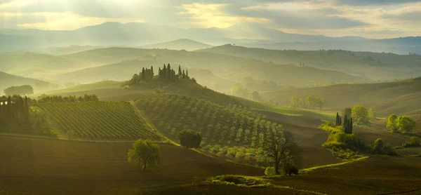 Schilderachtig Uitzicht Het Toscaanse Landschap Bij Zonsopgang Pienza Italië — Stockfoto