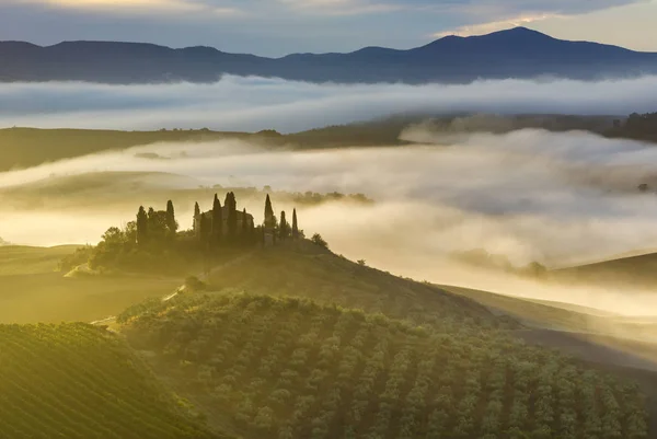 Schilderachtig Uitzicht Het Toscaanse Landschap Bij Zonsopgang Pienza Italië — Stockfoto