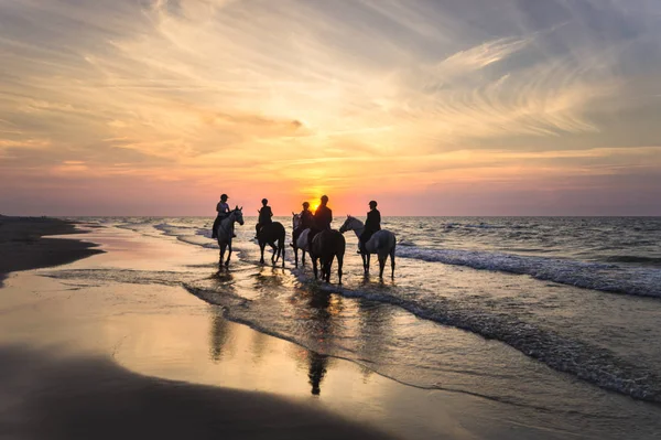 Riders Horseback Riding Seashore Sunset — Stock Photo, Image