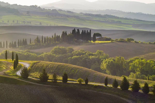 Schilderachtig Uitzicht Het Toscaanse Landschap Bij Zonsopgang Pienza Italië — Stockfoto