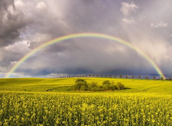 Színes Rainbow Múló Vihar Után Mező Fölött — Stock Fotó