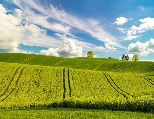 Vue Panoramique Champ Printemps Contre Ciel Avec Des Nuages — Photo