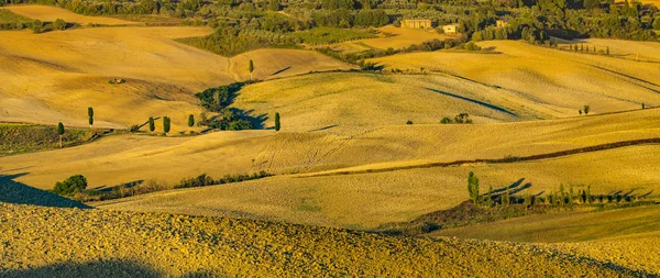 Tuscan doğal görünümünü manzara güneş doğarken, Pienza, İtalya