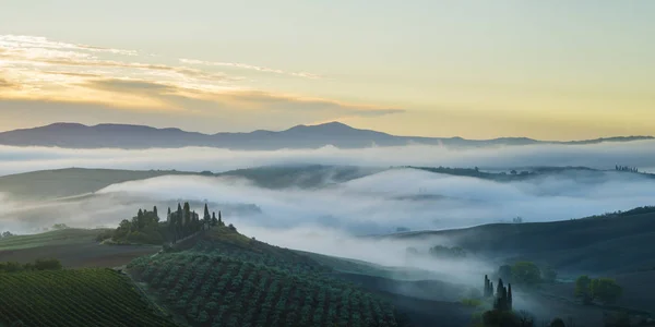 Malerischer Blick Auf Die Toskanische Landschaft Bei Sonnenaufgang Pienza Italien — Stockfoto