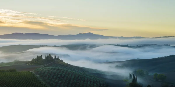 Schilderachtig Uitzicht Het Toscaanse Landschap Bij Zonsopgang Pienza Italië — Stockfoto