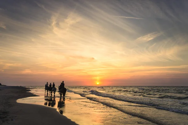 Renners Paardrijden Langs Kust Bij Zonsondergang — Stockfoto