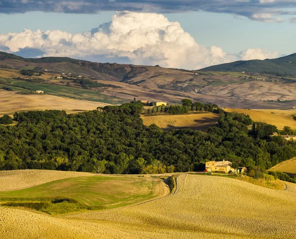 Scenic View Tuscan Landscape Sunrise Pienza Italy Royalty Free Stock Images