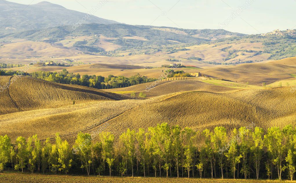 scenic view of Tuscan landscape at sunrise, Pienza, Italy