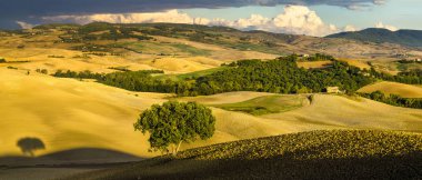 Tuscan doğal görünümünü manzara güneş doğarken, Pienza, İtalya