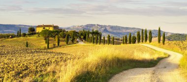 Tuscan doğal görünümünü manzara güneş doğarken, Pienza, İtalya