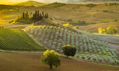 Tuscan doğal görünümünü manzara güneş doğarken, Pienza, İtalya