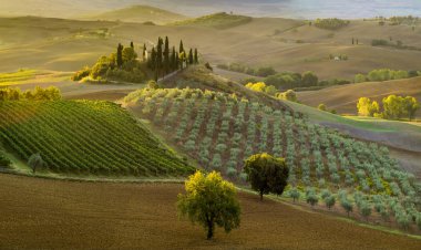 Tuscan doğal görünümünü manzara güneş doğarken, Pienza, İtalya