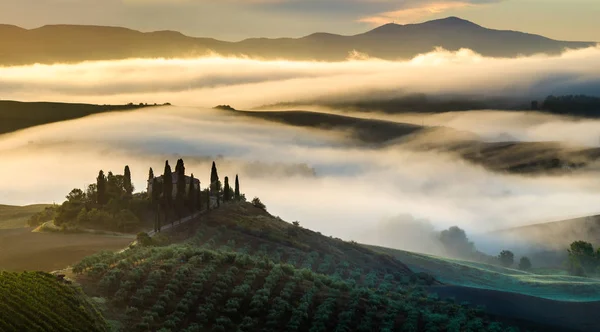 Schilderachtig Uitzicht Het Toscaanse Landschap Bij Zonsopgang Pienza Italië — Stockfoto