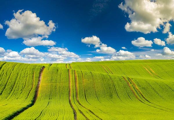 Vista Panoramica Del Campo Primaverile Contro Cielo Con Nuvole — Foto Stock