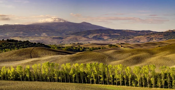 Vacker Utsikt Över Toscanas Landskap Vid Soluppgången Pienza Italien — Stockfoto