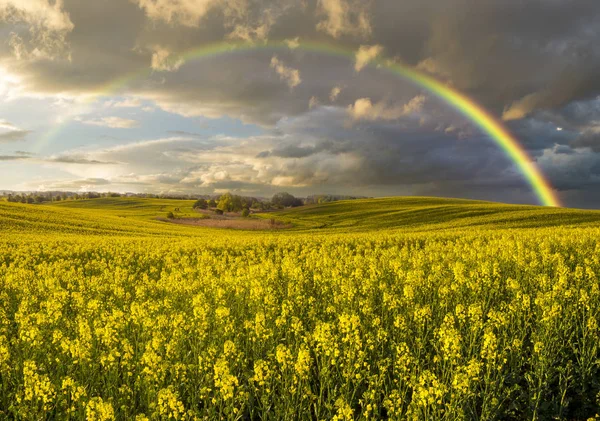 Színes Rainbow Múló Vihar Után Mező Fölött — Stock Fotó