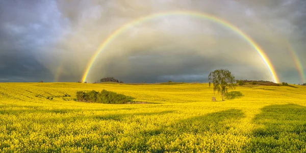 Színes Rainbow Múló Vihar Után Mező Fölött — Stock Fotó