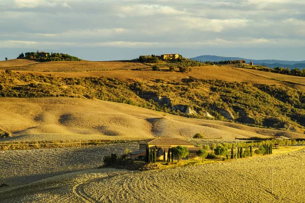Vista Panoramica Del Paesaggio Toscano All Alba Pienza Italia — Foto Stock