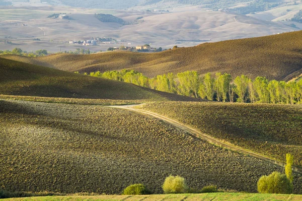 Vacker Utsikt Över Toscanas Landskap Vid Soluppgången Pienza Italien — Stockfoto