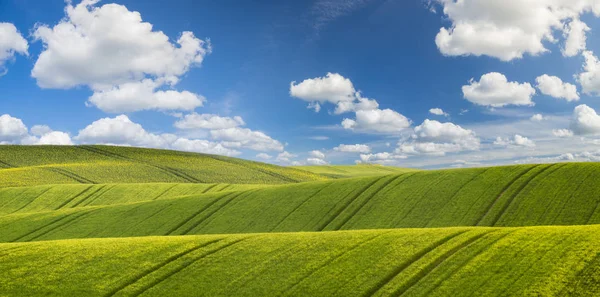 Malebný Pohled Zelené Louce Pod Modrou Oblohou — Stock fotografie