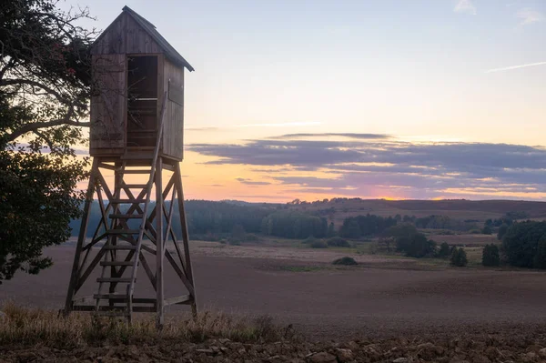 Tour Chasse Bordure Forêt Avec Vue Sur Champ Automne Coucher — Photo